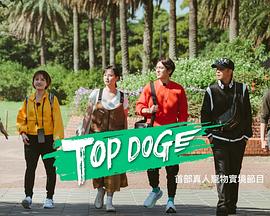 糖心logo米菲兔《TOP DOG》免费在线观看