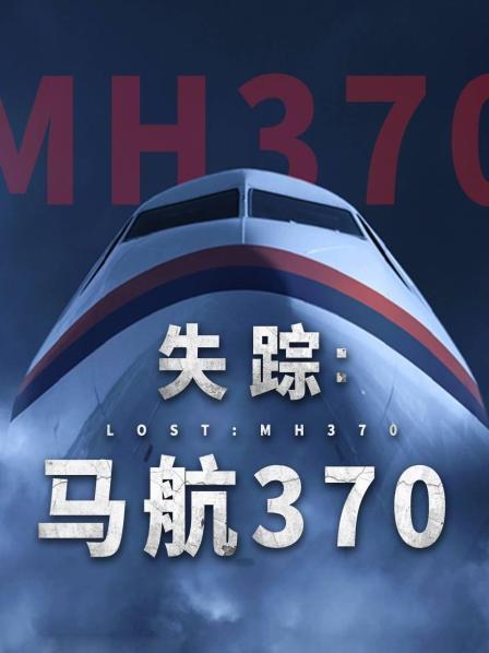 糖心logo入口《失踪：马航370》免费在线观看