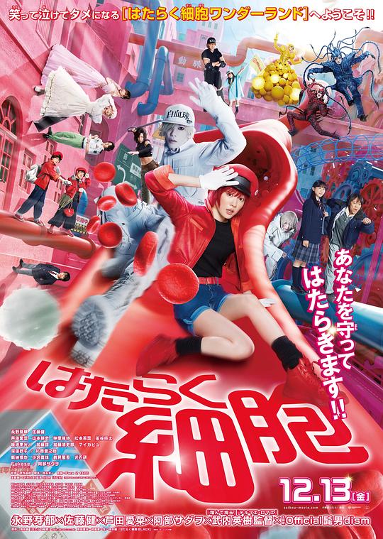 糖心logo入口《工作细胞 真人版 はたらく細胞》免费在线观看