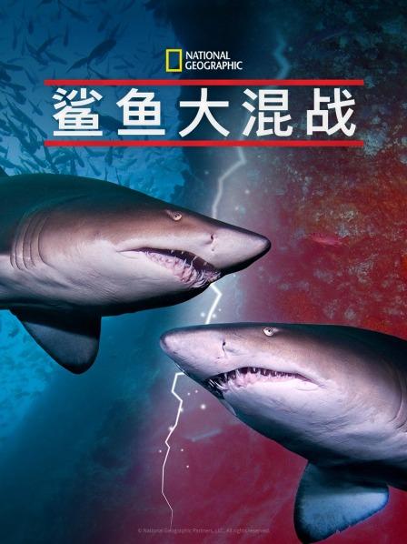 糖心logo米菲兔《鲨鱼大混战》免费在线观看