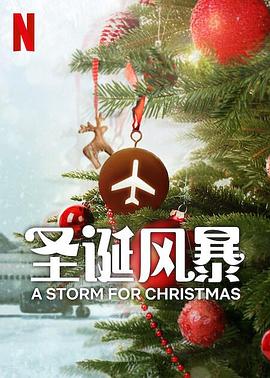 糖心logo入口《圣诞风暴》免费在线观看